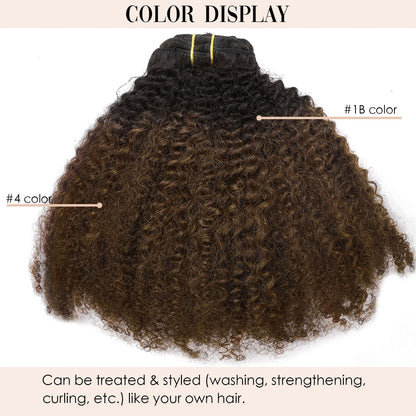 HAIR Ombre Human Hair Extensions 3C 4A Clip in Double Weft Real Remy Human Hair for African American, Natural Black Fading into Light Auburn Beauty Salon Application Near Me - Book Appointment 1.678.663.5298